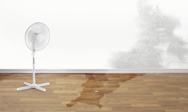 Reliable OK Water damage restoration Solutions