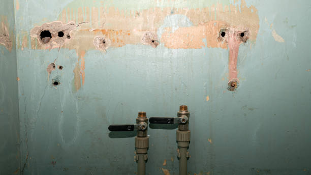 Best Flood restoration services  in Beaver, OK