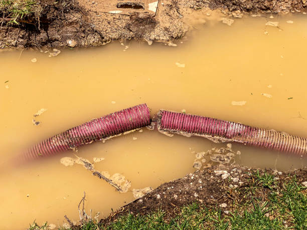 Best Carpet water damage restoration  in Beaver, OK